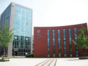 遼寧泰陽醫藥科技開發 創新驅動，引領醫藥技術開發新篇章